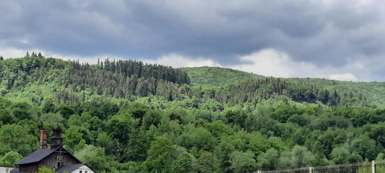 Sat De Vacanta Martisorul Качика Экстерьер фото